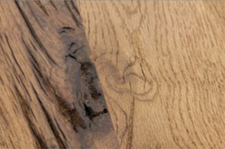 holz2